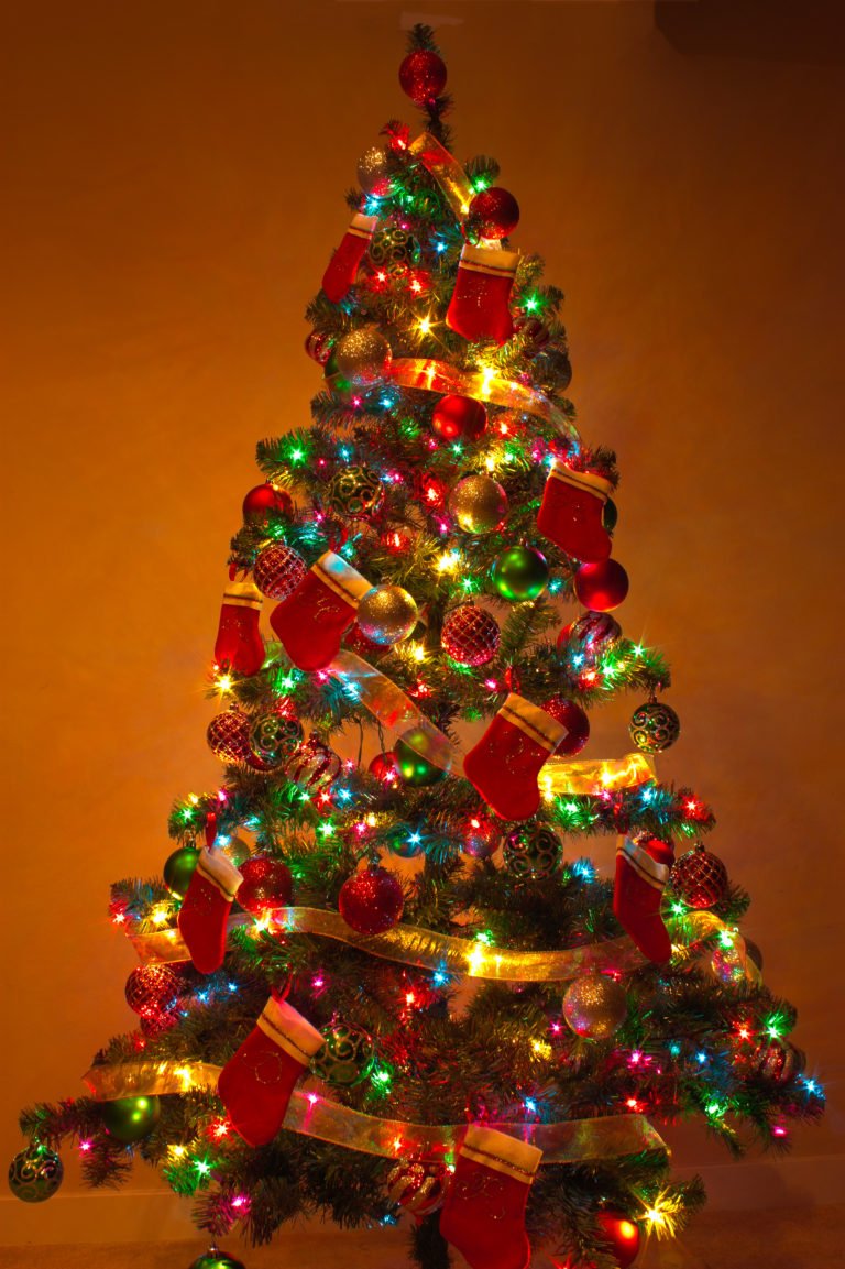 45 Colorful Christmas Tree Decorations Ideas Decoration Love Christmas Tree Colorful