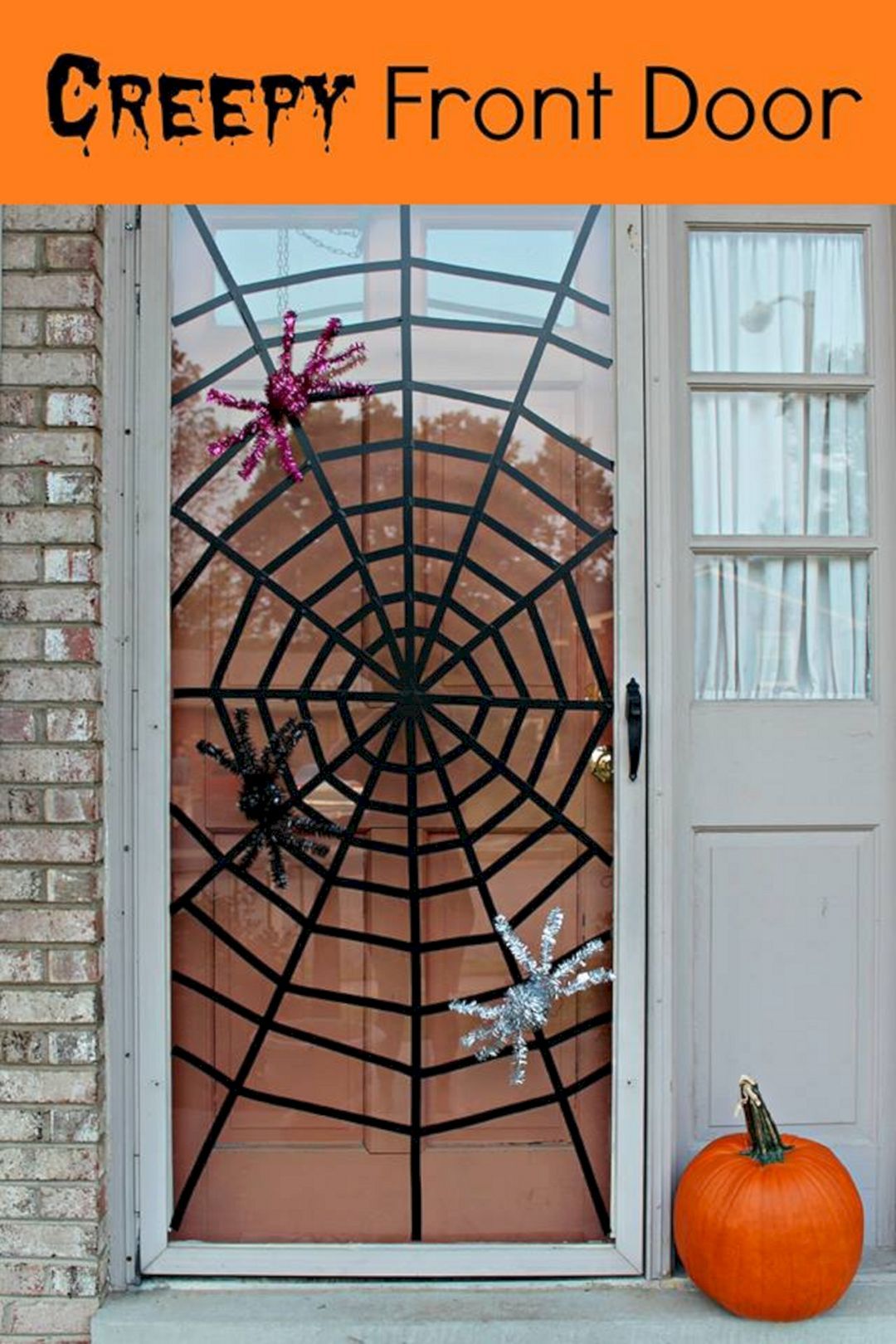 Spider Web on Door