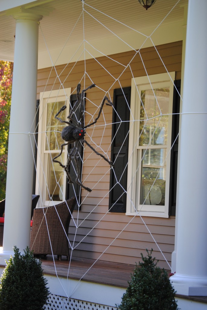 17. Freaky Spider Webs