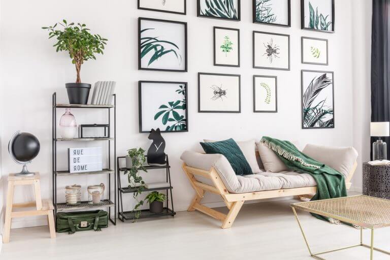  Decoration with photos of plants and animals 1