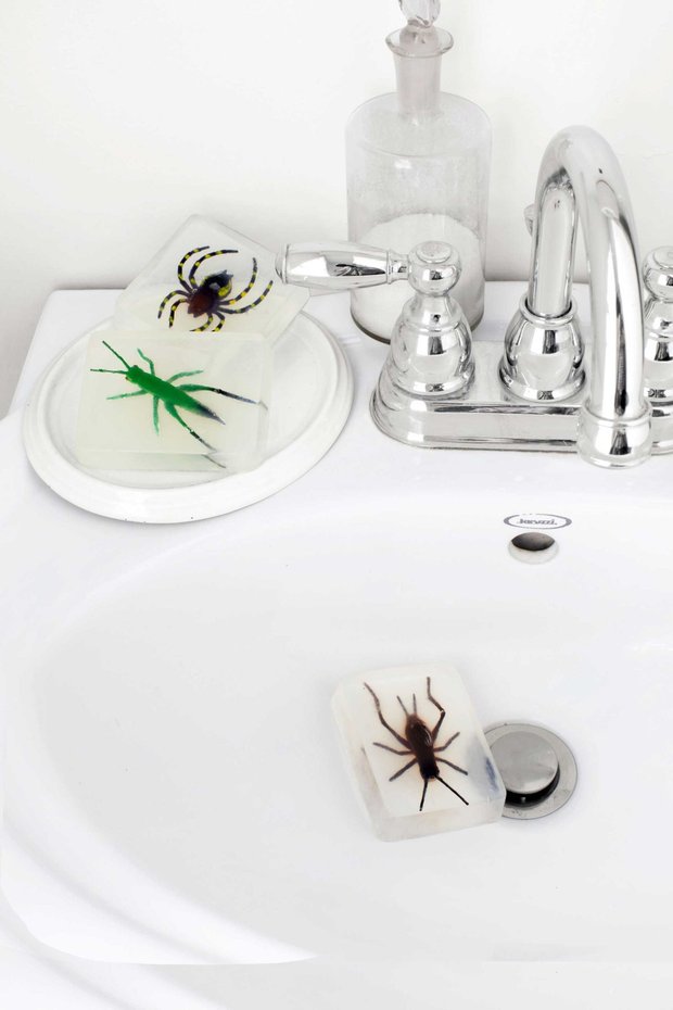 Soap with beetles