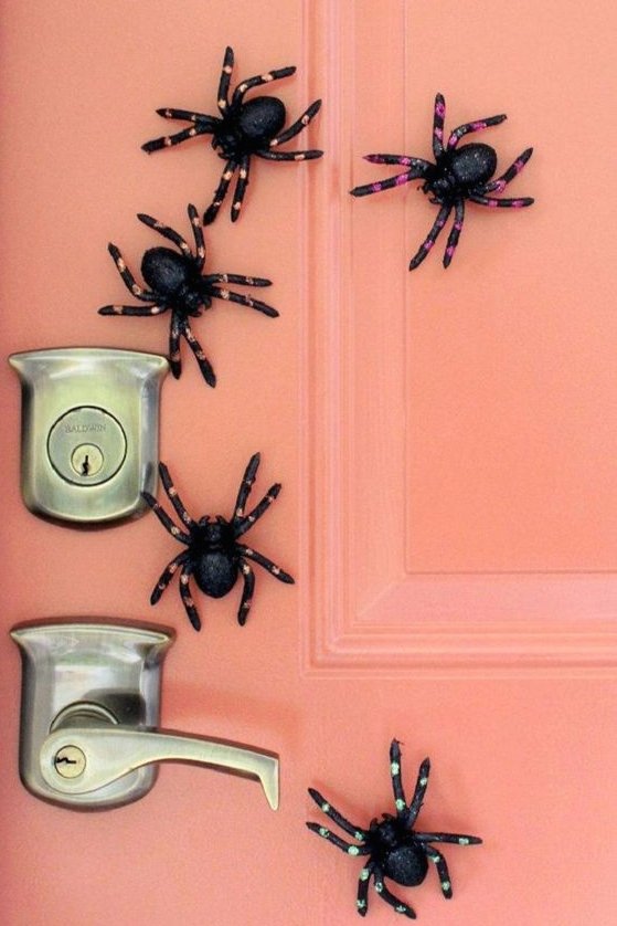 Spiders on the door