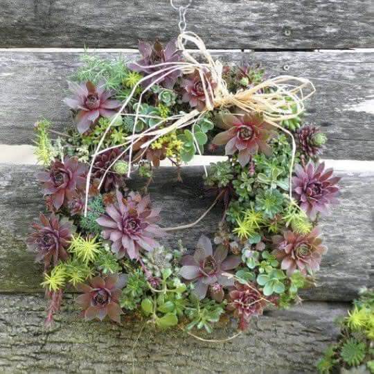 11. Wreath with plants