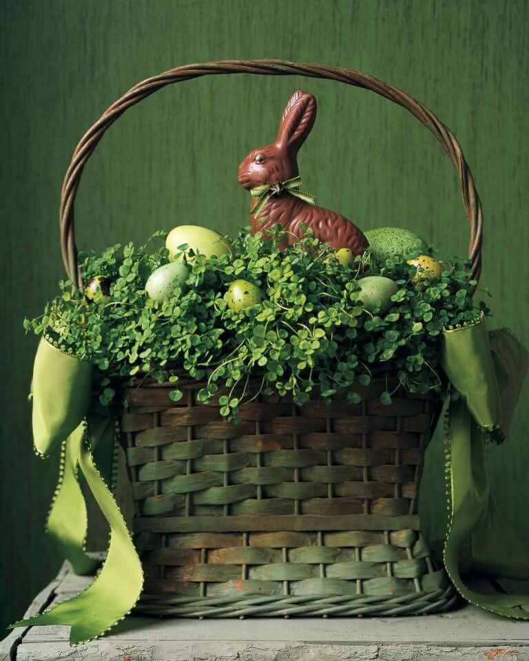 16. Arranged with foliage and chocolate bunny