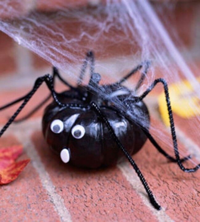 38. Black tarantula spider with cobwebs