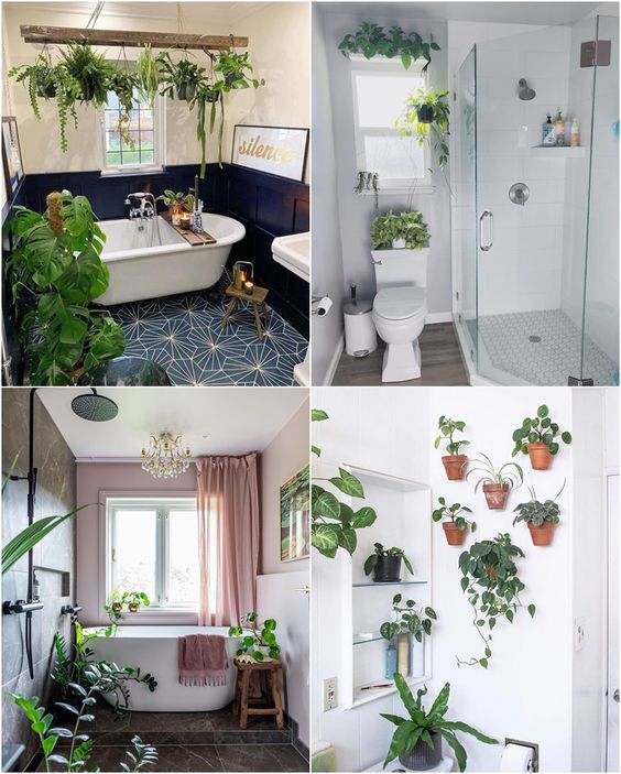 Decor with plants in the bathroom 2