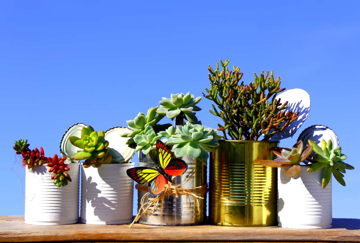 14. Plant Pots Made of Cans
