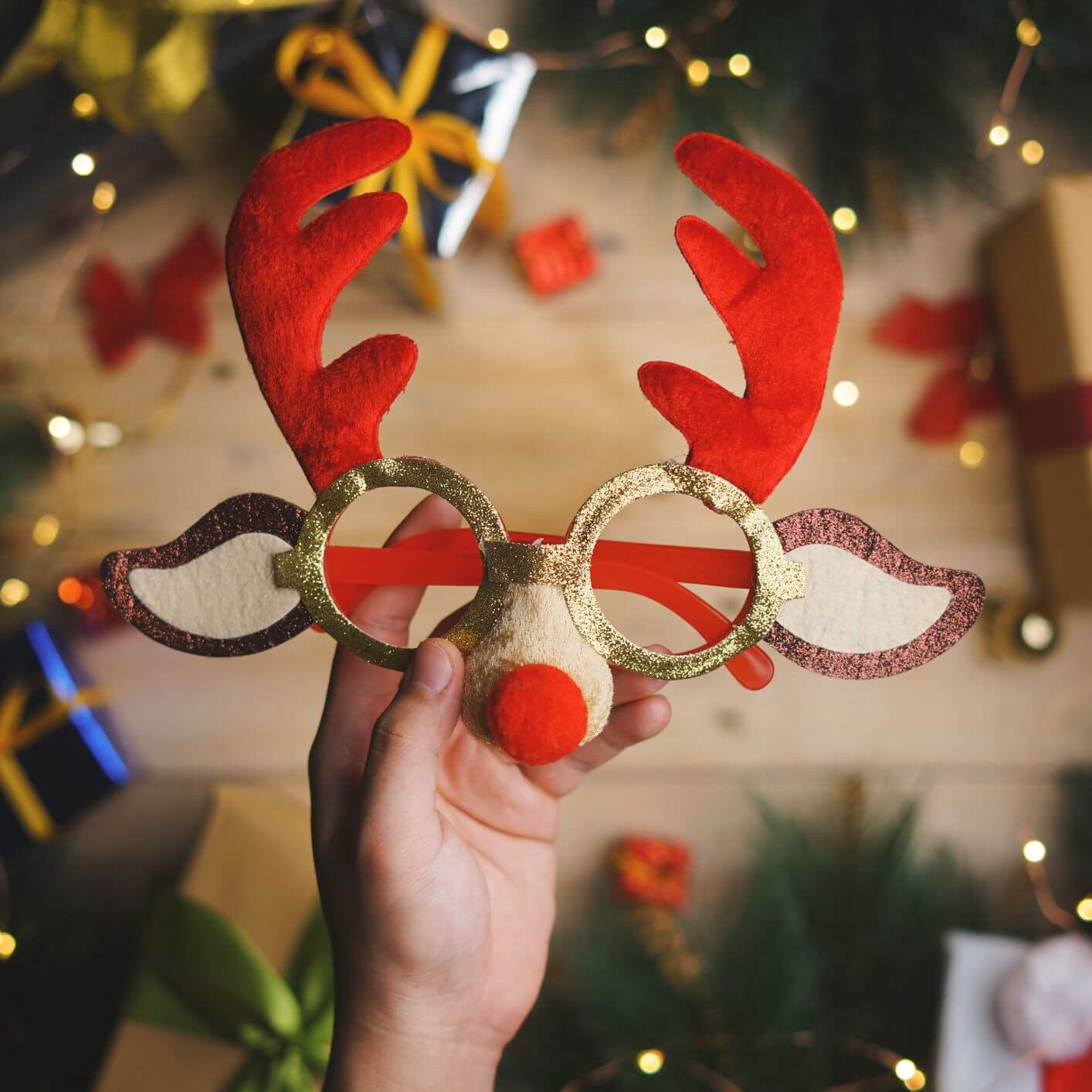 Christmas Reindeer Ideas