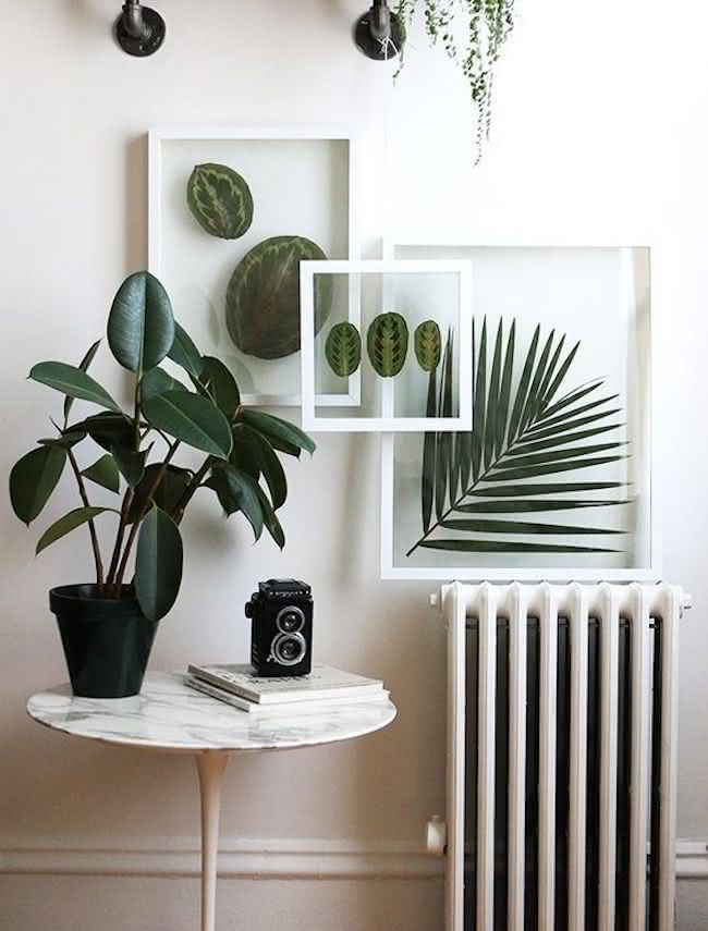Frame with plants