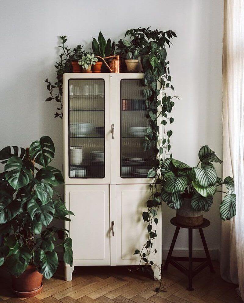 More decor inspirations with plants 19