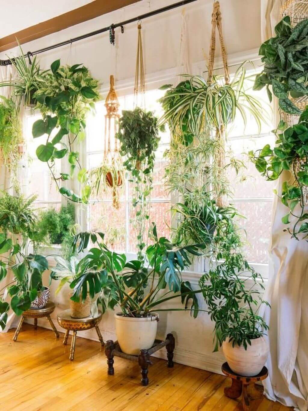 More decor inspirations with plants 2