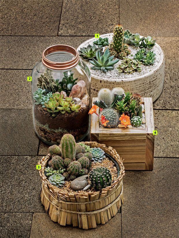 Peaceful and Super Versatile Decor Ideas With Cactus