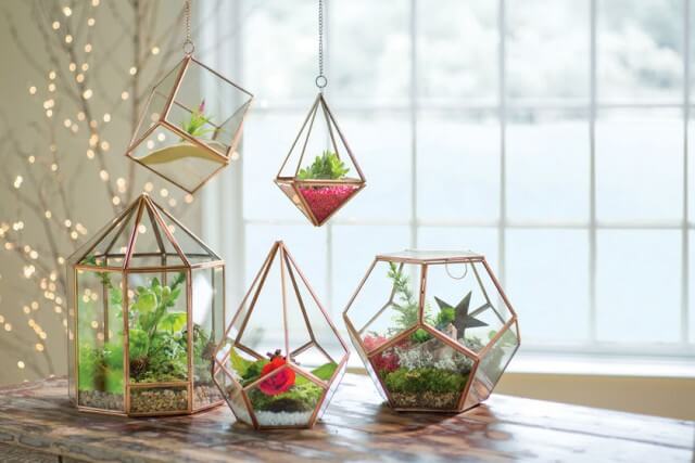 8- Create mini-gardens indoors