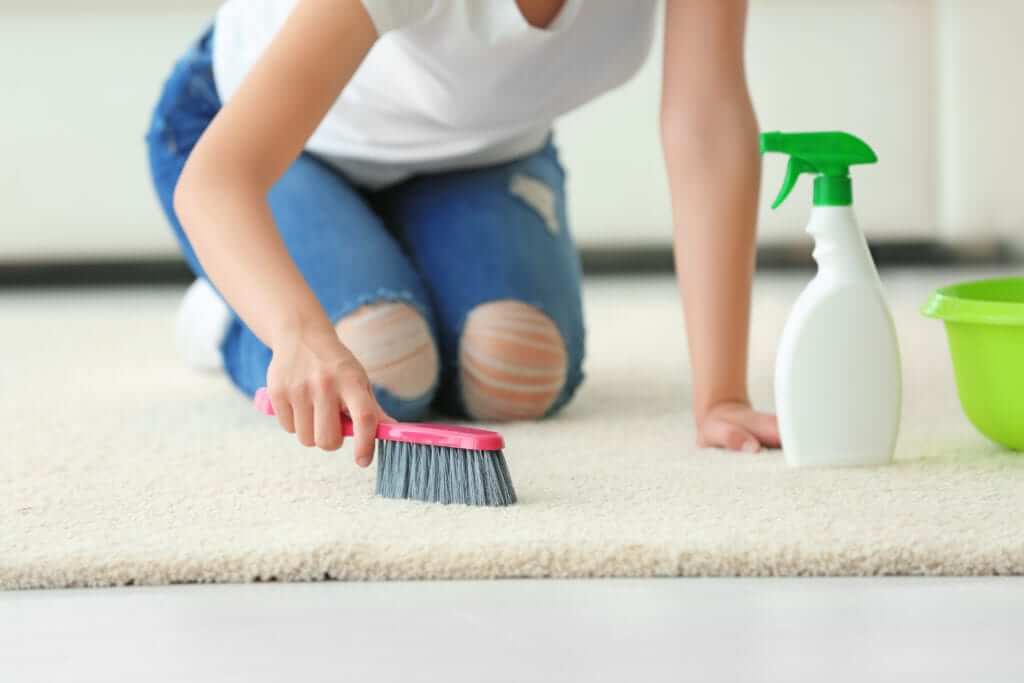 1- HOW TO CLEAN THE CARPET BY HAND