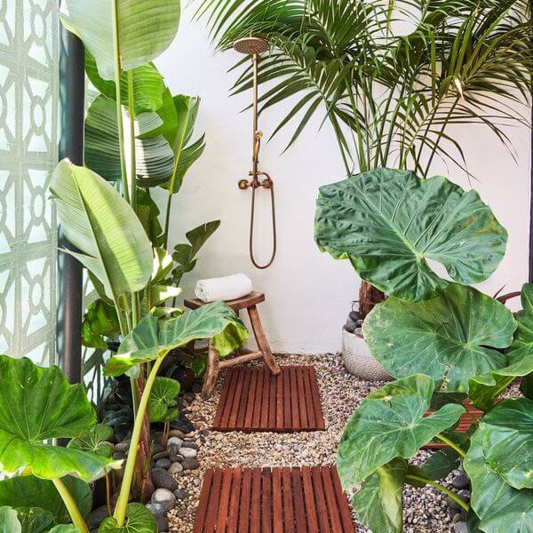 1- Tropical plants and teak for a mini garden like in Bali