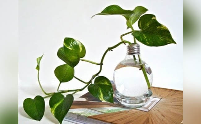 13- Eco-responsible decoration recycling DIY in the spotlight