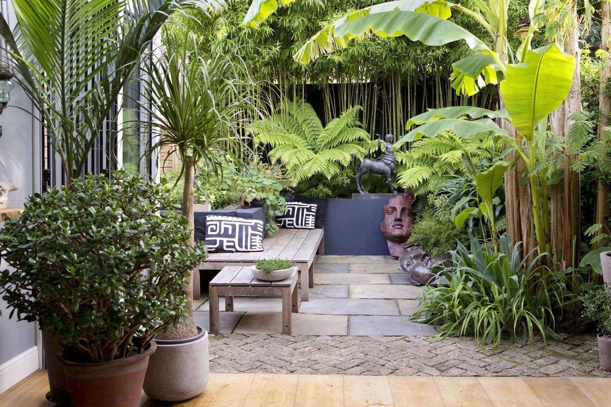 13- Mini garden, maxi tropical plants