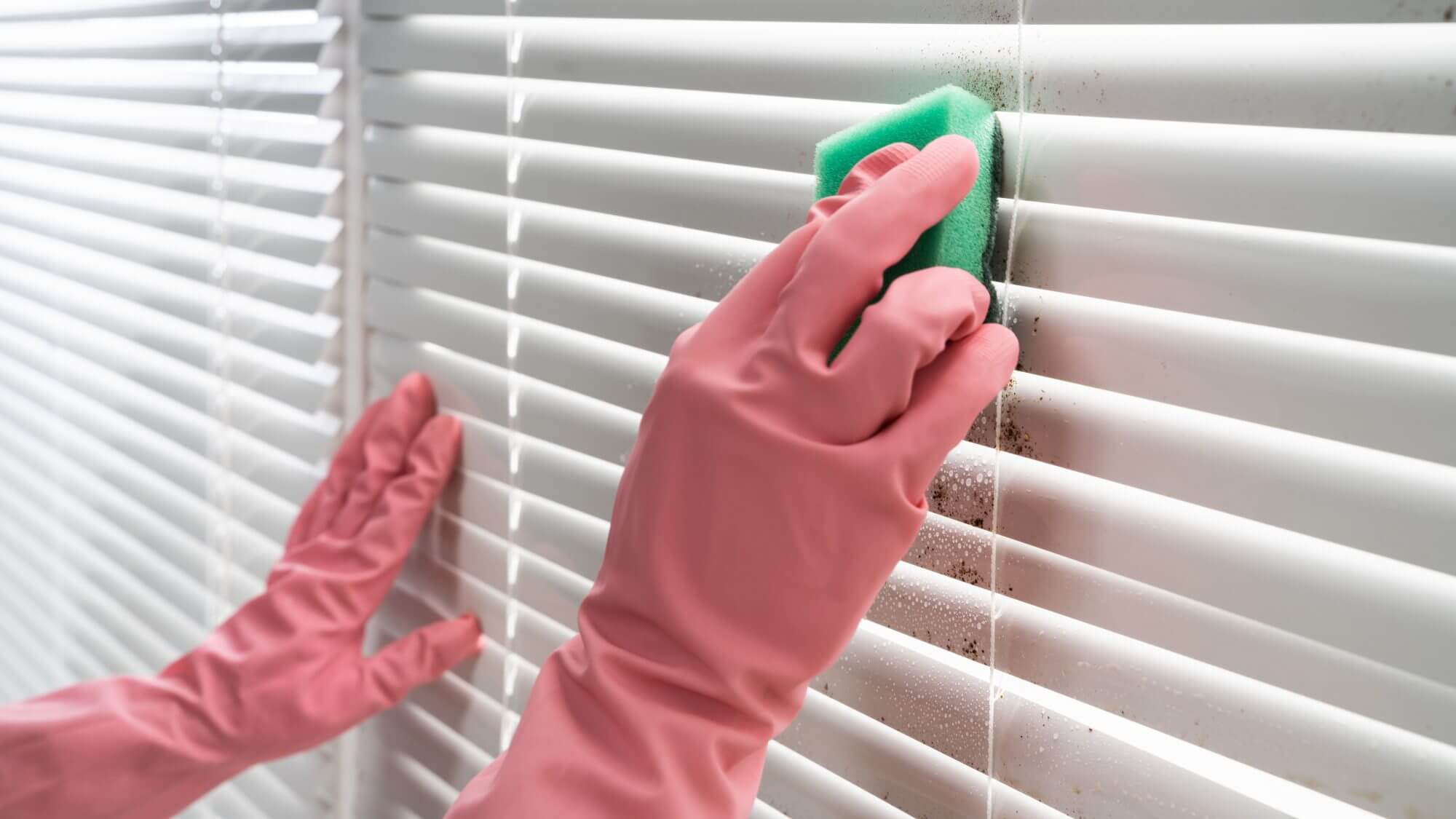 14- Wash windows, blinds