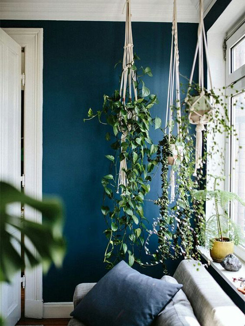 5- Dark blue painted walls in small rooms