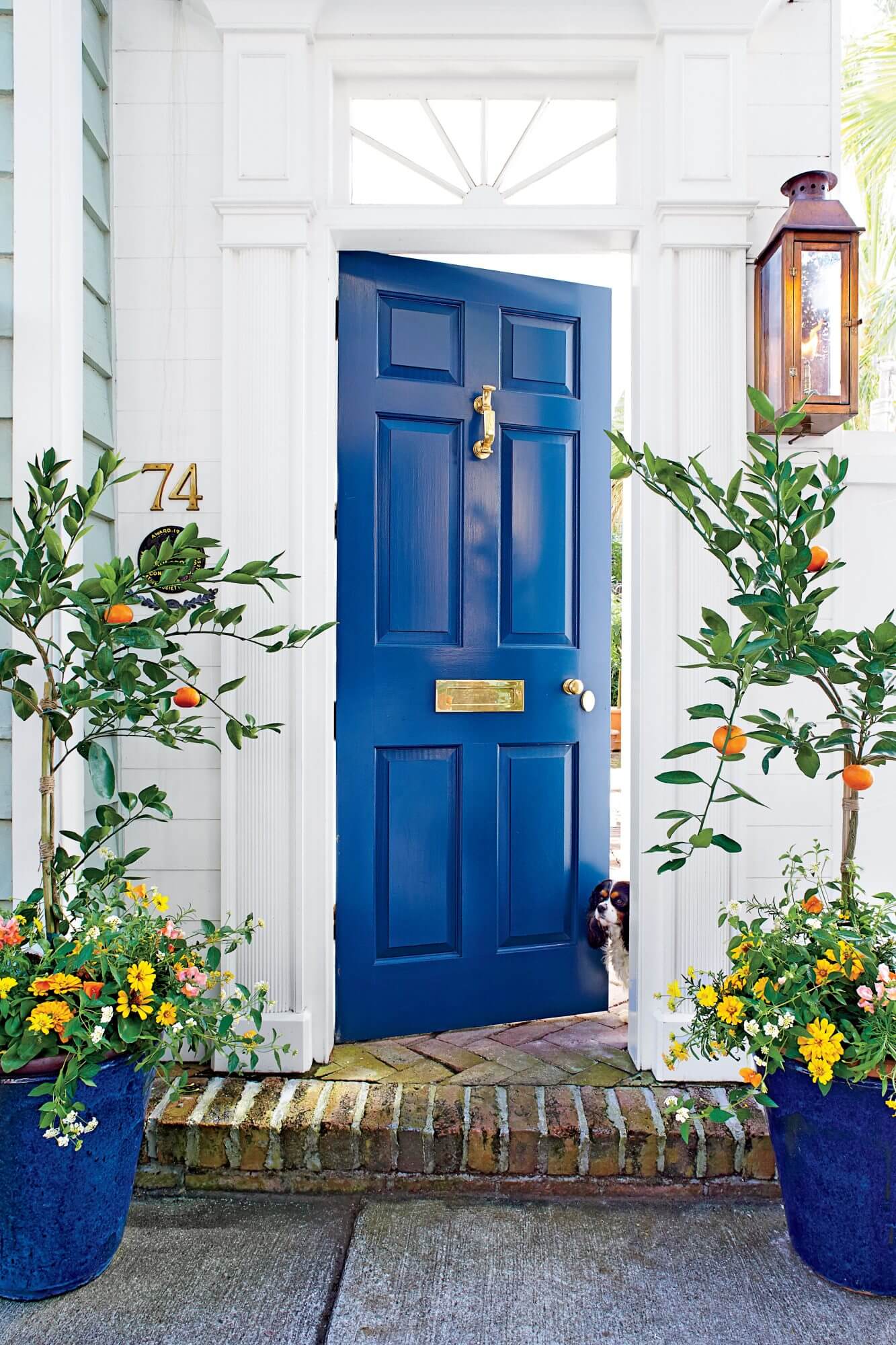 Attractive Color Ideas for the Doors 2