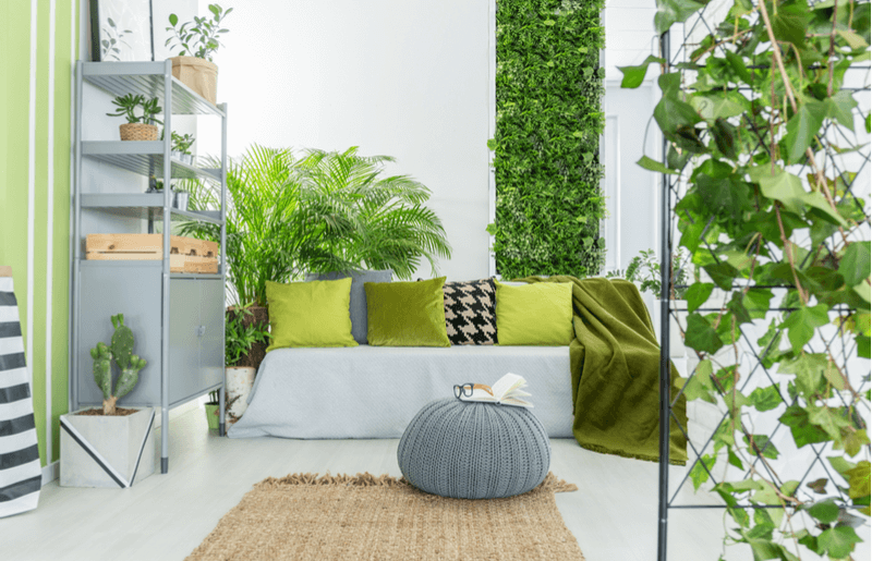 Bring the feeling of nature indoors