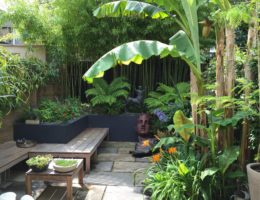 Small Exotic Garden Inspirations