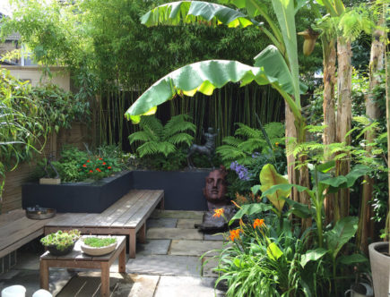 Small Exotic Garden Inspirations