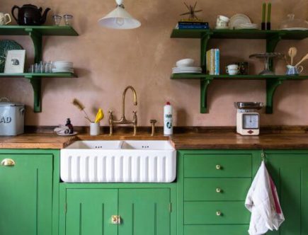 Kitchens With Painted Cabinets